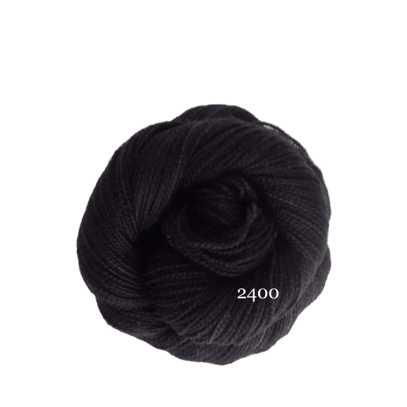 100g Koigu KPM