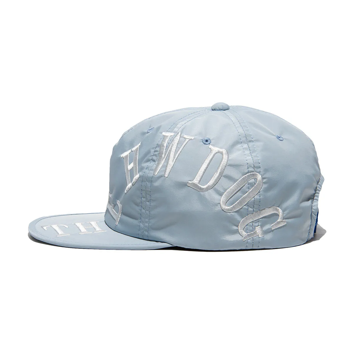 BIG LOGO SKATE CAP - Sky Blue