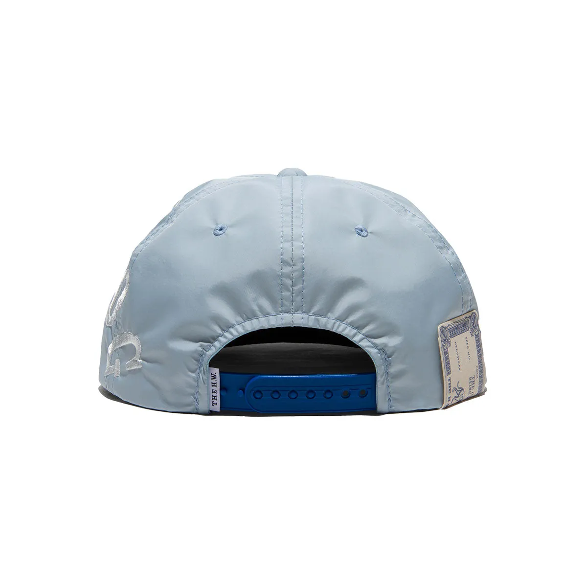 BIG LOGO SKATE CAP - Sky Blue