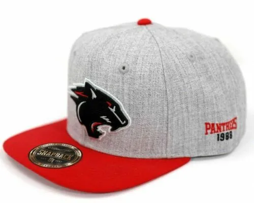 Clark Atlanta University Cap Snapback CAU