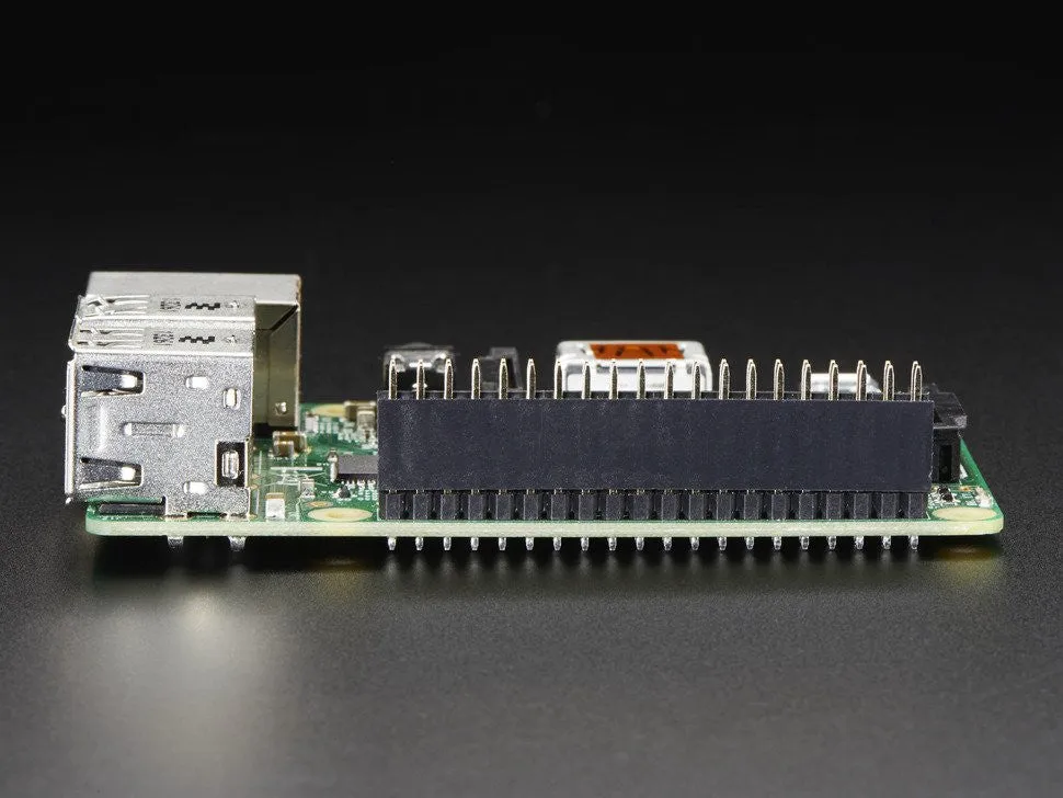 GPIO Header for Raspberry Pi A /B /Pi 2/Pi 3/Pi 4/Zero - 2x20 Female Header